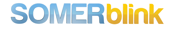 SOMER blink — part of the Cognitive Development Network